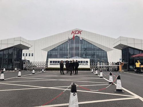 表情 資金危機下的康得新 賬上150億現(xiàn)金卻還不起15億債券 表情