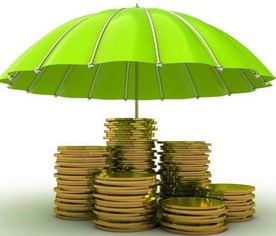 民企發(fā)債保險業(yè)設(shè)資管產(chǎn)品