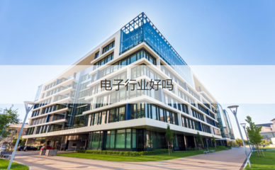 柳州微電子行業(yè) 企業(yè)待遇、工作體驗(yàn)與投資管理分析